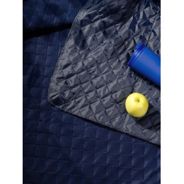 Плед для пикника Soft & Dry 2, синий