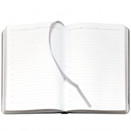 Ежедневник Frame Metal, недатированный, серый