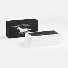 Коробка «Динамика успеха»