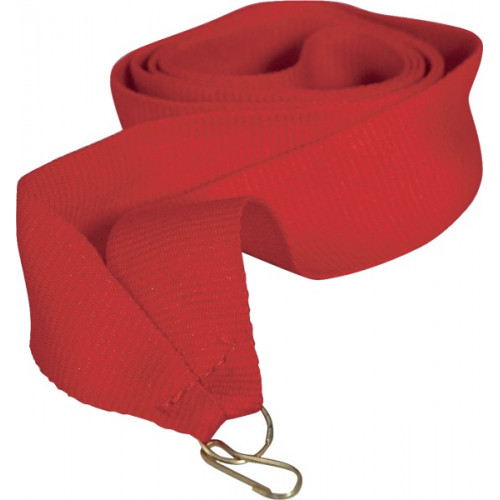 Лента (шир.11 мм)  V8-RD